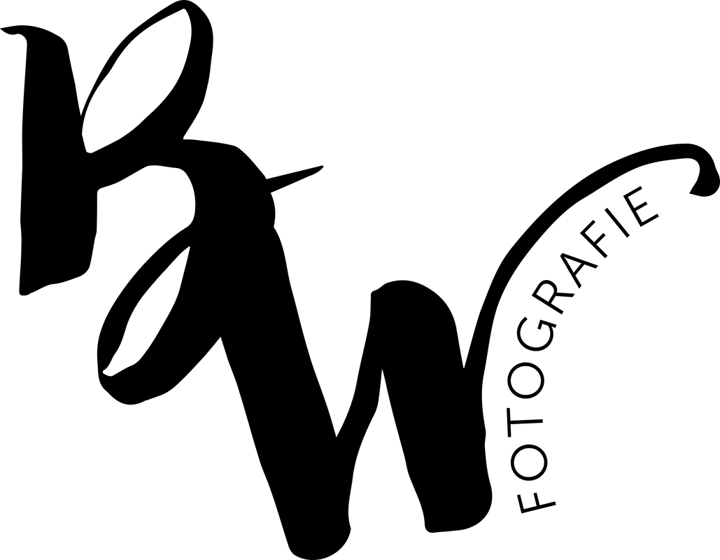 birgitweiss logo